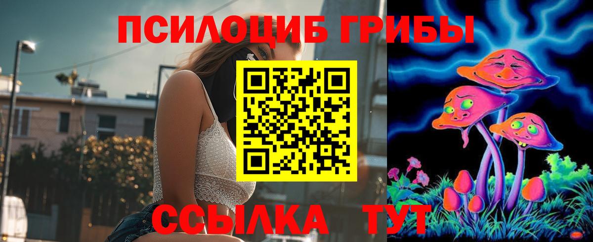 Богданович  Галлюциногенные грибы MAGIC MUSHROOMS  Вход с VPN  Псилоцибиновые грибы Magic Shrooms 